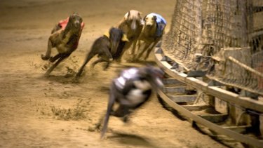 Less gone to the dogs: Prize money will be cut for group races in Sydney.