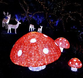 Christmas Lights Spectacular at Hunter Valley Gardens.