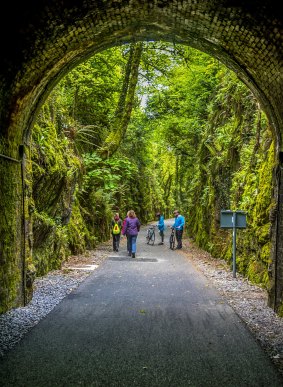 A tunnel on the Waterford Greenway Cycle Path.