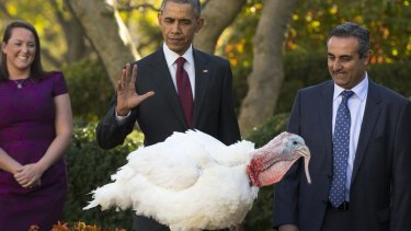 Not that Abe. US National Turkey Federation chairman Jihad Douglas,right, watches as US President Barack Obama pardons National Thanksgiving Turkey Abe, at a ceremony at the White House on Wednesday.