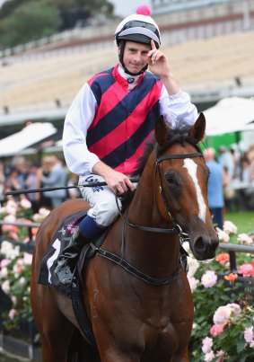 Slipper possibility: Selenia after winning race two at Flemington on Saturday.
