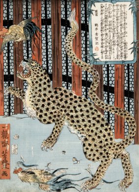 A woodblock print of  a leopard by Japanese artist Tsukioka Yoshitoyo.