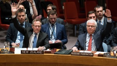 New Zealand's UN Ambassador Gerard van Bohemen and Russia's ambassador to the UN, Vitaly Churkin, join other members of the UN Security Council to endorse the ceasefire deal on Saturday.