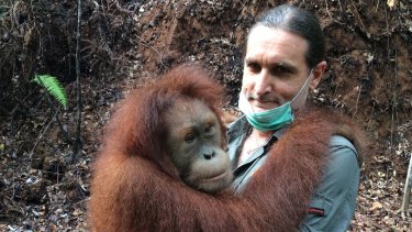 "Orangutans trick the shit out of you – this shows theory of mind," Leif Cocks says.