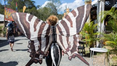Larger-than-life butterflies have fluttered to Woodford.