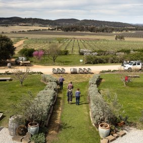 Visitors enjoying a walk through the scenic grounds at Lowe Wines, Mudgee. 