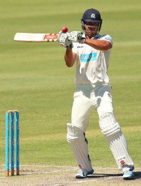 Marcus Stoinis on his way to making 99.