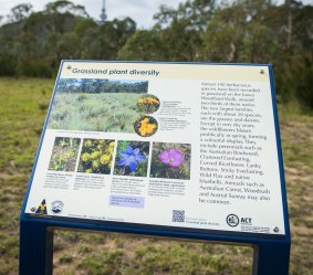 ACT Heritage Grant creates new interpretive signs and track markers on the Black Mountain woodland walk.