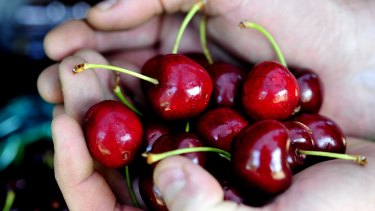 Daigou shoppers now want to buy fresh Australian fruit such as cherries directly from the primary producers.