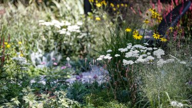 Ian Barker's  show garden was awash with perennials and had a real-life context.