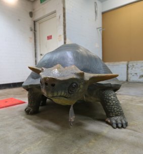 An ancient animal model from the museum's collection.