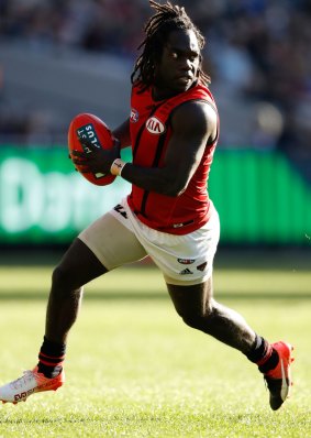 Anthony McDonald-Tipungwuti: A bright spark in a challenging season for Essendon. 