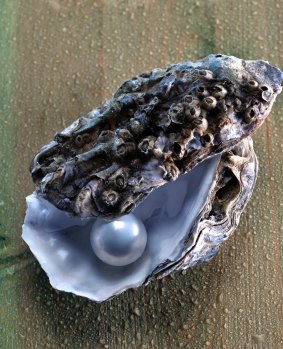 Close up on a pearl in an oyster shell.