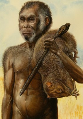 An artist's impression of <i>Homo floresiensis.</i>