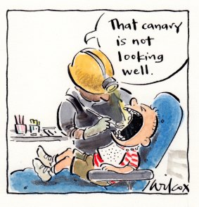 Illustration: Cathy Wilcox