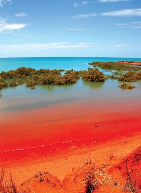 Roebuck Bay, Broome, Australia.