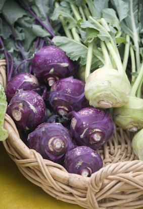 A basket of fresh organic purple and white kohlrabi on display at a local farmer's market.