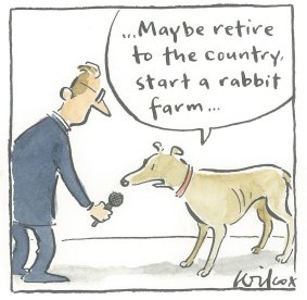 Illustration: Cathy Wilcox