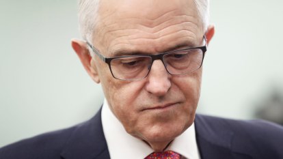 Politics Live: Mounting pressure for government to change tack on company tax cuts