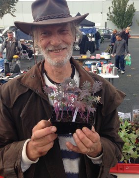im Kerr of Macquarie with Red Russian kale seedlings on the Kerrs' stall at Jamison Rotary Markets.