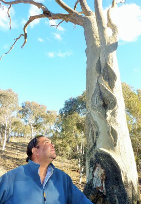 Adrian Brown, Ngunnawal descendant and Ngunnawal country ranger in the ACT Parks and Conservation Service is mystified by the markings on this tree – can you help?
