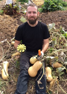 Josh Broomfield in his butternut pumpkin patch. 