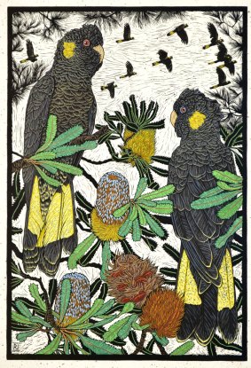 See prints, linocuts and engravings of native flora and fauna created by artist Rachel Newling at Palm House, Royal Botanic Garden.