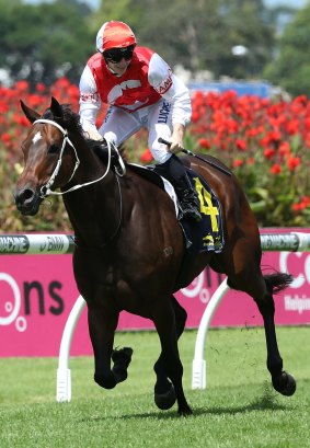 Bullseye: James McDonald rides Target In Sight to victory in the Maurice McCarten Stakes at Rosehill.