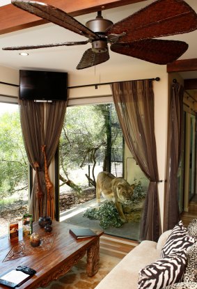 Close encounter: Guests as Jamala Lodge can watch wild animals in comfort.