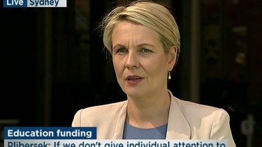 Acting Opposition Leader Tanya Plibersek didn't know Senator Conroy had even quit when asked about it at a press conference in Sydney.