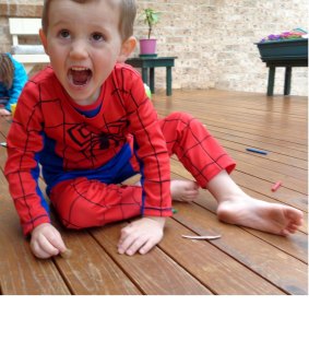 William Tyrrell in his favourite Spider-Man suit.