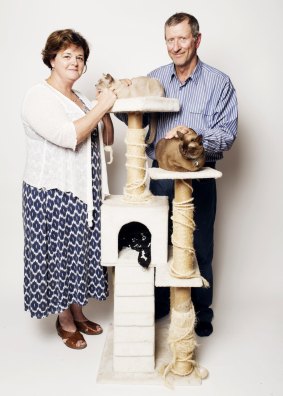 Feline fine: Nick and Tara Killen with their cats Bella (top) and Sookie.
