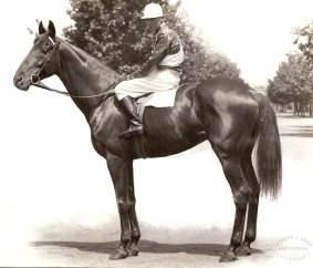 Uncle Sam, winner of the 1914 Caulfield Cup.