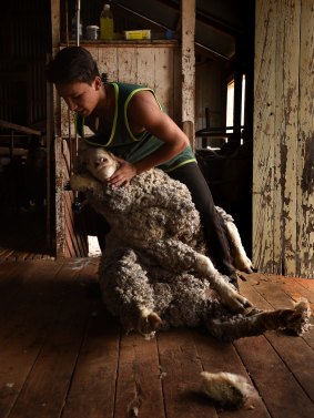 Jaiden Winters 17, a graduate of the Merriman Shearing School, crutches a sheep at a station near the Merriman Shearing School. 