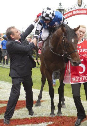 No repeat: Protectionist looks set to miss this year's Melbourne Cup. 