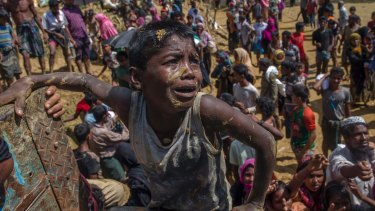 A Rohingya Muslim boy, who crossed over from Myanmar into Bangladesh, pleads with aid workers to give him a bag of rice.