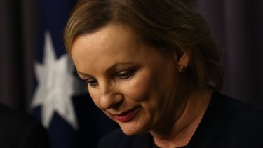 Sussan Ley stood aside as health minister last Monday.