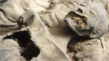 nefertiti mummy phenomenal tomb fletcher remains joann egyptologist legendary thought tutankhamun