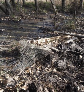 Damage caused to fencing by a fire trial being pushed through swampy land behind houses at Majors Creek, as photographed by property owner Peter Marshall.