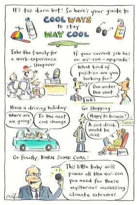 Illustration: Cathy Wilcox