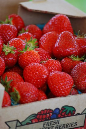 Sauvie Island strawberries