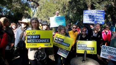 Crowds gathered at Sydney Park last week to try to protect paper barks and eucalypts.