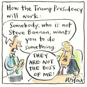 Illustration: Cathy Wilcox