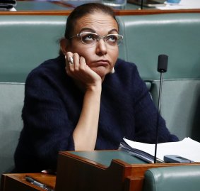 Labor MP Anne Aly.