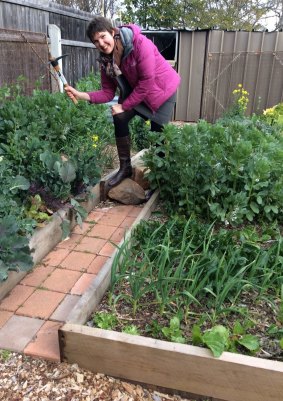 Heather Kerr swinging the mattock in her vegie garden in Hughes.