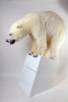 The stuffed polar bear highlights the effects of climate change.