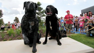 Sarbi and a statue of herself at a dog park in Warner on February 28. 