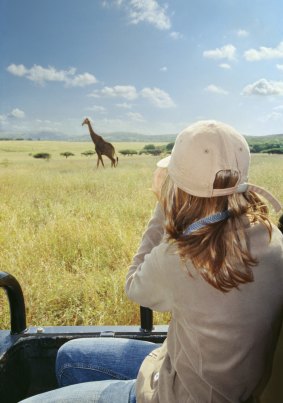 Surperb sighting: A teenage firl watches a giraffe while on a safari.