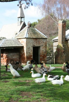 The pet farm at Brickendon Estate in Tasmania.