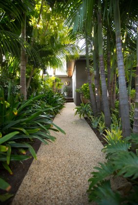 John Couch's sub-tropical suburban home